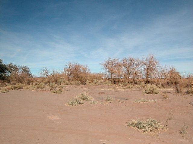 coupole1-020607