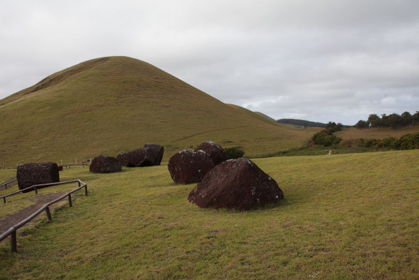 pukau