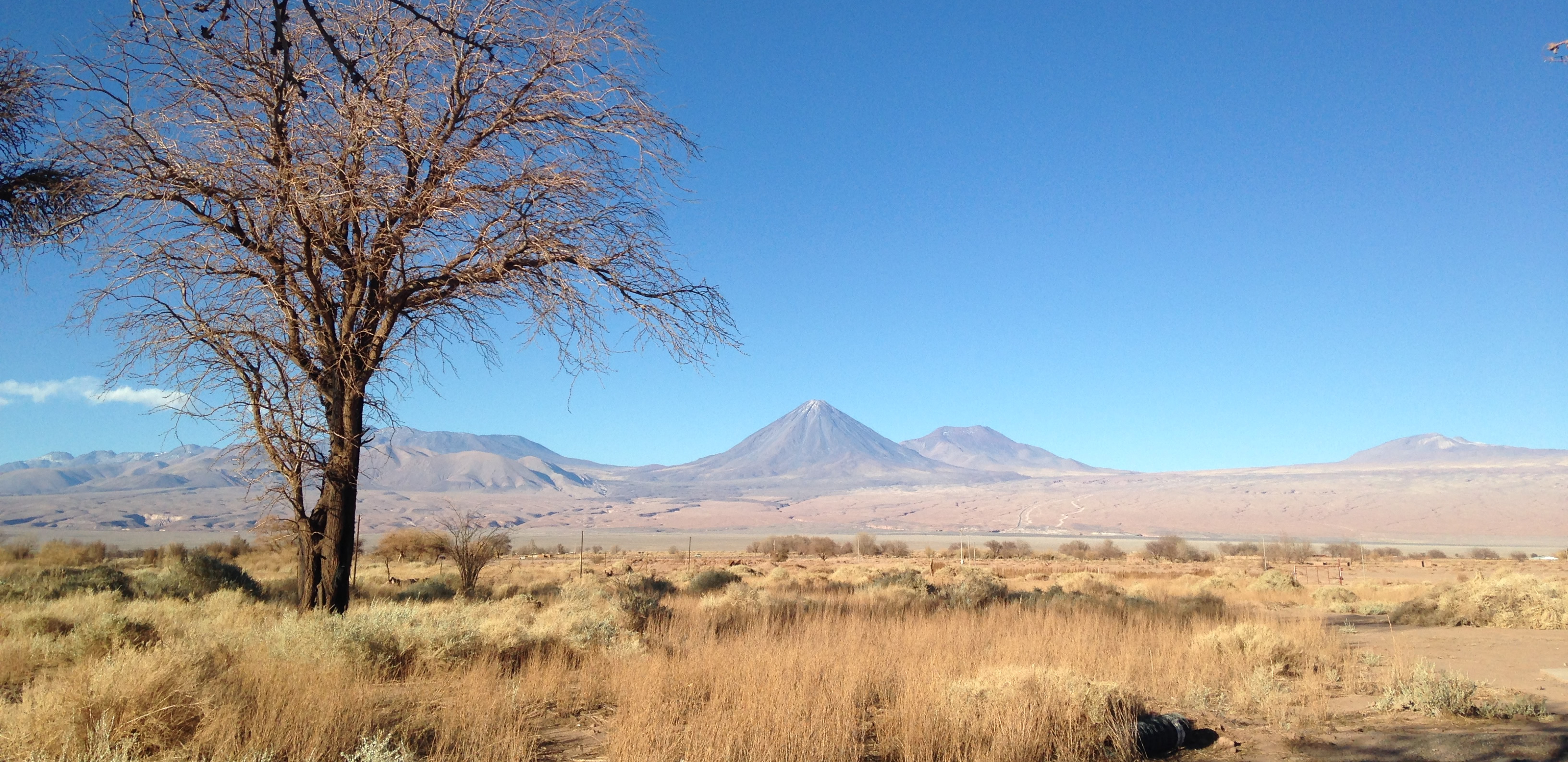 Atacama Lodge